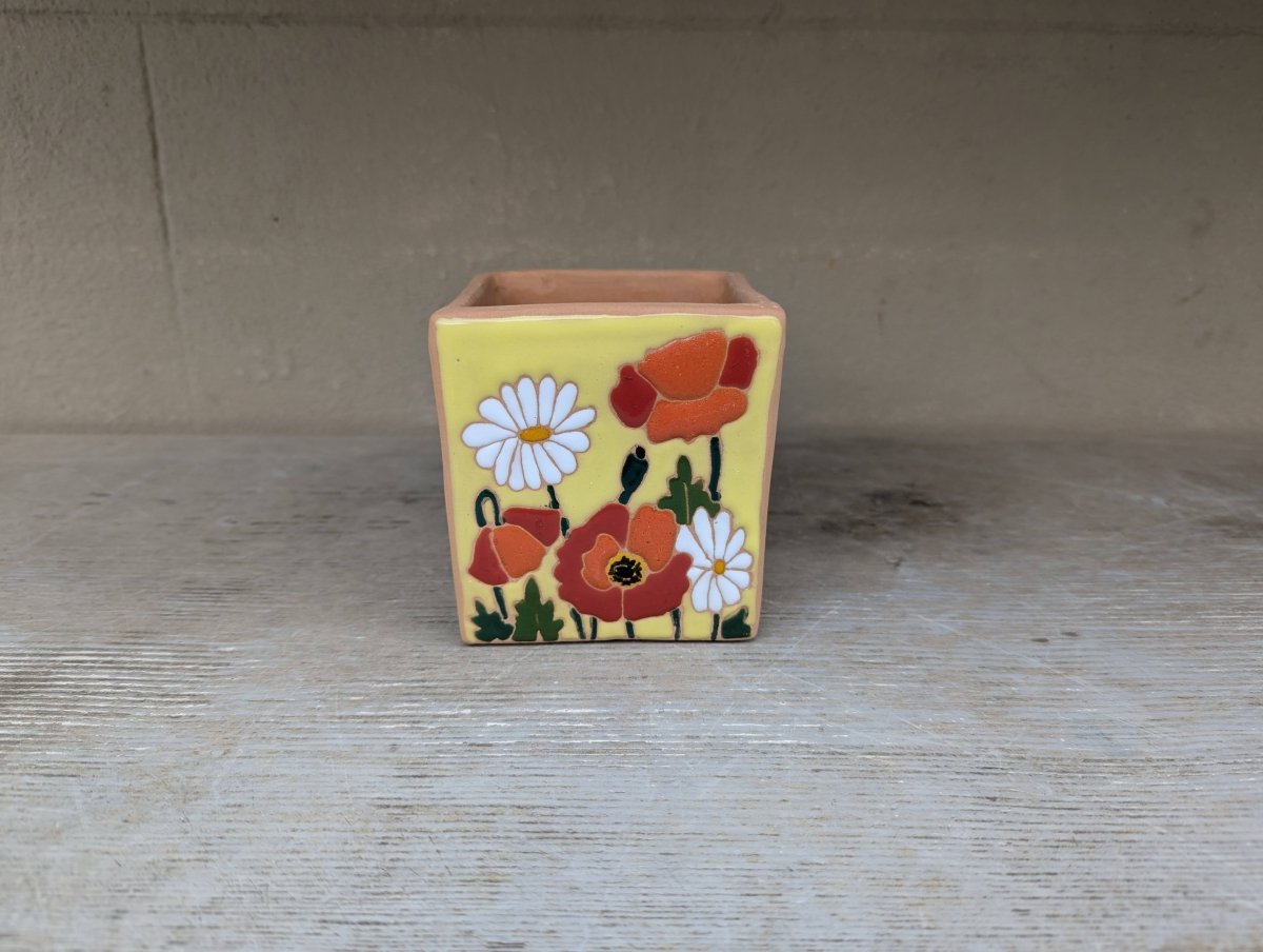 Vasi quadrati 9 cm